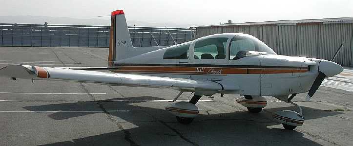 cheetahN26913imageSmall